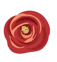 Rose - No Watermark PNG - love