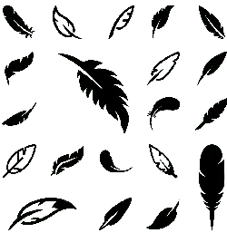 Feather - artistic - Free Download PNG