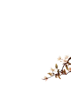 White Flowers - beautiful - Trending PNG