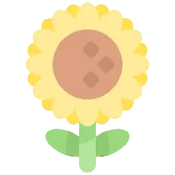 Sunflower - plant - leaves - Free Download PNG