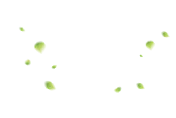 Green Light Spots - PNG Images