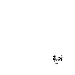 Owl in the Night - night - No Background PNG