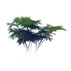 Cannabis Plant - leaves - No Watermark PNG