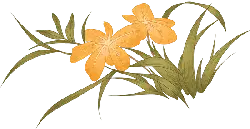 Orange Flower - Free PNG