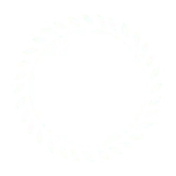 Circular Decoration Pattern - geometric shape - Free Download PNG