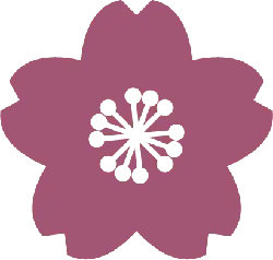 High Download Count PNG - Cherry Blossom - flower - Pic 1