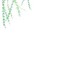 Green Plant Branches - No Watermark PNG