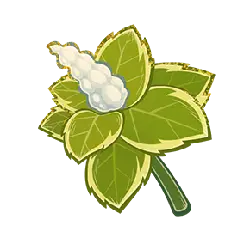 Cotton - leaves - flowers - High Resolution PNG
