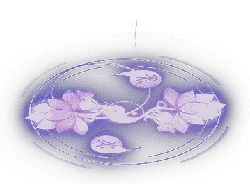 Four Leaf Clover - PNG - lucky