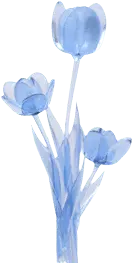 Blue Tulips - transparent - High Resolution PNG