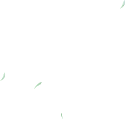 White Feathers - light - Transparent Background PNG