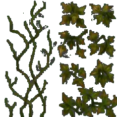 Vine Plant - nature - decoration - Free Download PNG