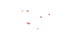 Pink Petals Falling - fall - Free PNG