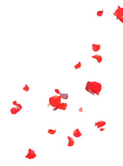 Red Petals - petal - Trending PNG