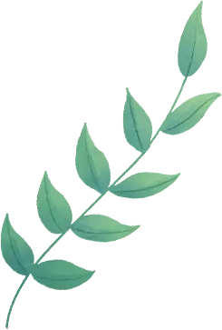 Laurel Leaf - Highly Rated PNG