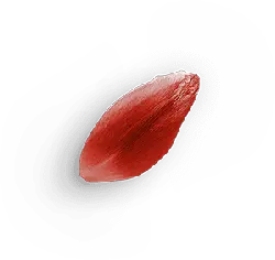 Petal - red - beautiful - No Background PNG