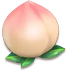 Peach - Lossless PNG - nutritious