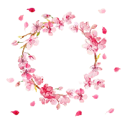 Pink Cherry Blossom Wreath - Designer's Pick PNG