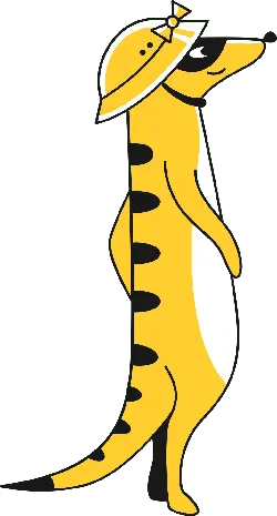 Meerkat - hats - Free PNG