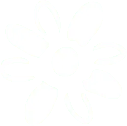 Abstract Flower Pattern - minimalist - black and white - High Resolution PNG