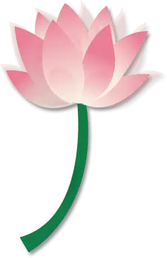 Lotus Flower - plant - beautiful - PNG