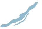 Blue Wave Lines - Trending PNG