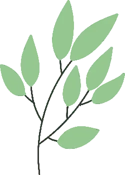 Leaves and Branches - plant - Transparent Background PNG