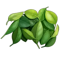 Green Leaves - No Watermark PNG - green