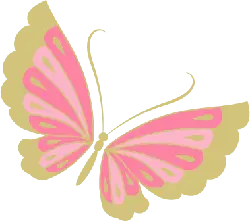 Butterfly - pattern - insect - Free PNG