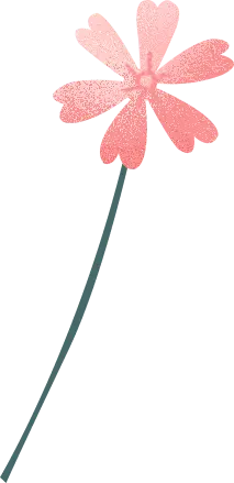 Pink Flower - Transparent Layer PNG - illustration