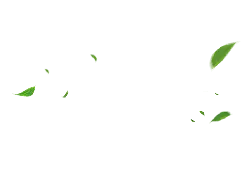 Falling Leaves - falling - High Download Count PNG