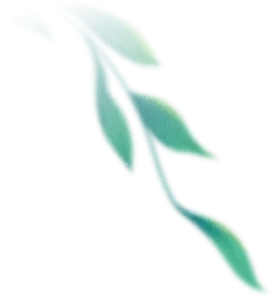 Green Branch with Leaves - Curated PNG