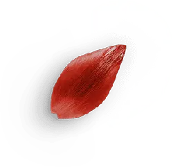 Red Petal - leaf - PNG
