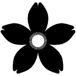 Black Owl - Fast Download PNG - nocturnal animal - Pic 4