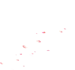 Pink Petals Falling - beautiful - Free PNG