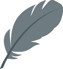 Feather - lightweight - Transparent Layer PNG