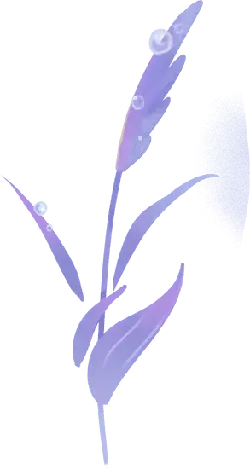 Purple Plant - art - Free PNG