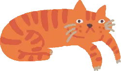 Orange and White Striped Cat - stripes - Free PNG