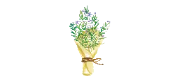 Bouquet - gift - paper ribbon - PNG Images
