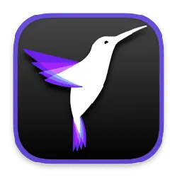 Hummingbird - purple - Lossless PNG