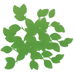 Green Leaves Pattern - leaves - PNG