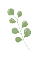 Green Leafy Branch - Fast Download PNG