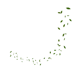 Leaves Falling - fall - Free PNG
