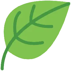Leaf - nature - leaf - PNG Images