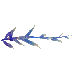 Flying Fish - marine life - Transparent Background PNG