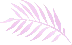 Palm Leaf - High Quality PNG - green