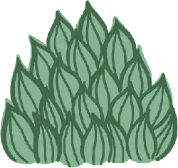 Green Plant - nature - Designer Recommended PNG