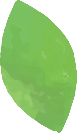 Green Leaf - leaf - Trending PNG