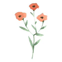 Three Petals Flower - plant - High Resolution PNG
