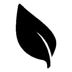 Leaf - environmental protection - Highly Rated PNG